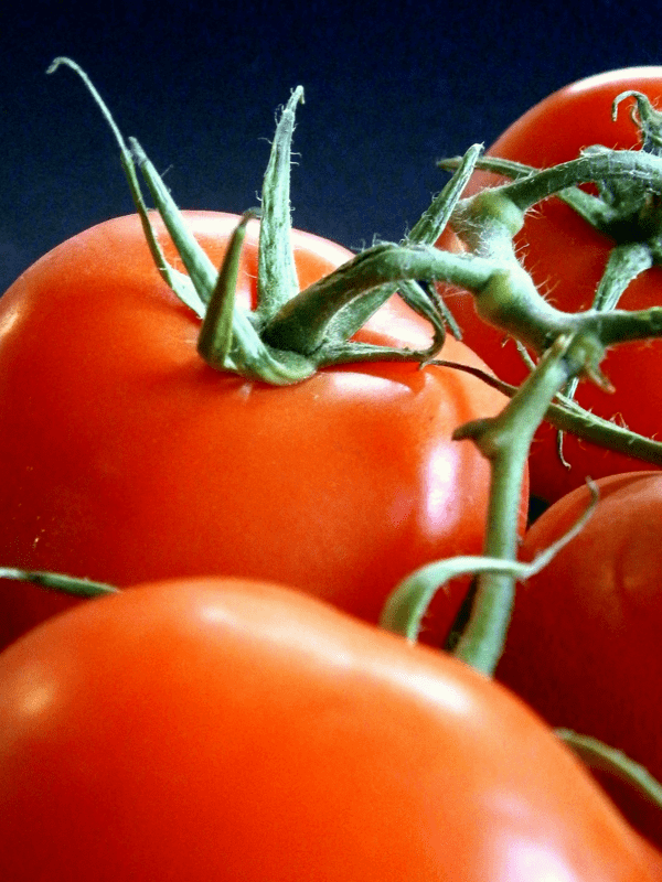 Du Rab - Tomates